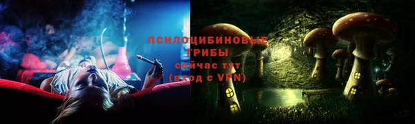 МДПВ Абаза