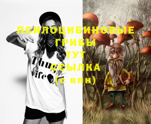 МДПВ Абаза